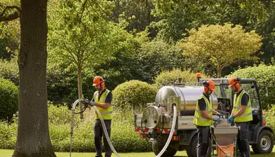 Professional tree fertilizing service in Denver, CO by Arbor Tree Care
