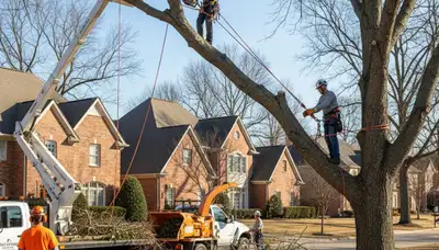 Denver, CO tree service crew for safe tree removal and trimming on a residential property