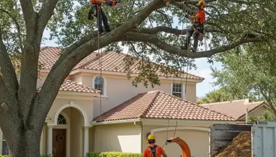 Denver, CO tree service crew performing professional tree removal for a local property