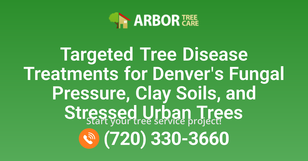 Tree Disease Treatments in Denver, CO | Arbor Tree Care